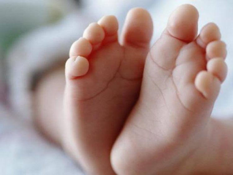 Heboh! Bayi Laki-laki Lahir Miliki 3 Penis