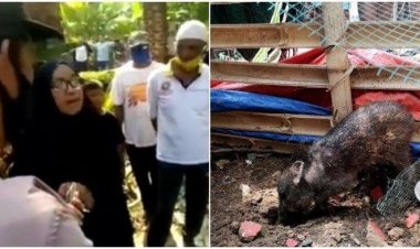Duh! Ibu Wati Viral Tuding Tetangga Kaya karena Babi Ngepet, Ternyata Buka Praktik Paranormal