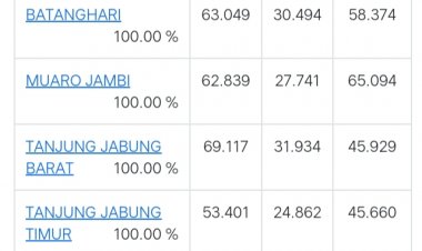 Kalah di 8 Kabupaten Kota, Haris- Sani Tetap Menang