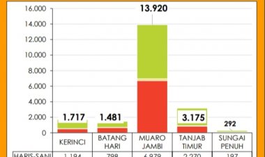Sirekap 100 Persen, Haris- Sani Menang Telak PSU di Kerinci dan Tanjab Timur