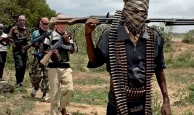 Wow! 8 Tentara Venezuela Diculik, Begini Nasibnya Kini....