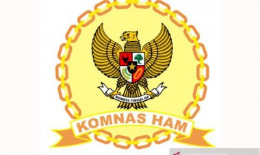 Ferdinand Sebut Komnas HAM Blunder Panggil Pimpinan KPK: Bukan Kewenangan