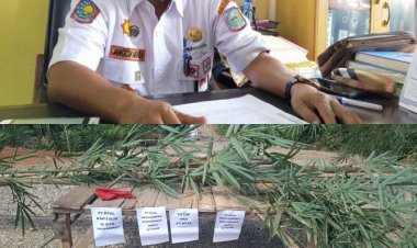 SPSI Blokir Jalan Masuk PT KPAL Koto Rayo, Jangcik Mohza: Kami Sudah Berusaha Mediasi