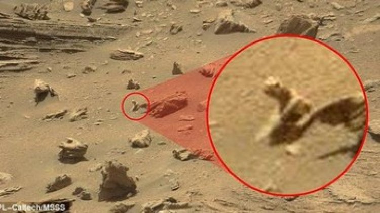 HEBOH! Alien Lagi Mengamati Bumi dari Planet Ini