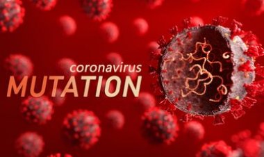 Virus Corona Asal Indonesia B.1.466.2, Masuk Daftar Pengamatan WHO