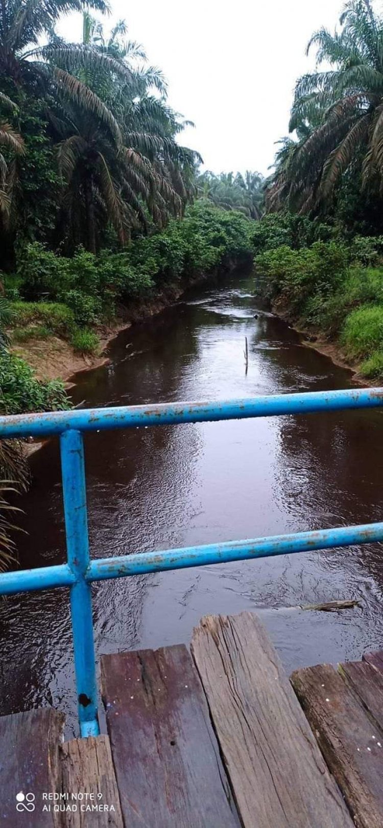 Limbah Perusahaan Batanghari Rusak Sungai di Muarojambi