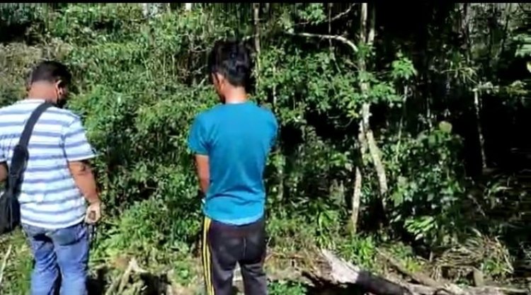 Bukannya Menanam yang Lain, Pria di Jangkat Timur Ini Malah Memilih Tanam Ganja