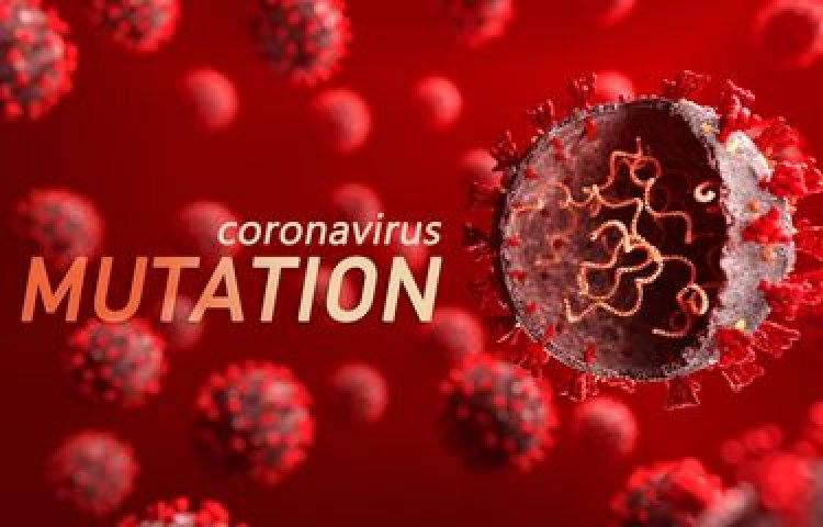 Virus Corona Asal Indonesia B.1.466.2, Masuk Daftar Pengamatan WHO