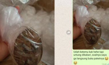 Pembeli Ini Mengaku Kasihan, Lauk Penjual Malah Masuk saat Pengemasan