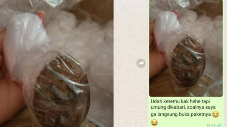 Pembeli Ini Mengaku Kasihan, Lauk Penjual Malah Masuk saat Pengemasan