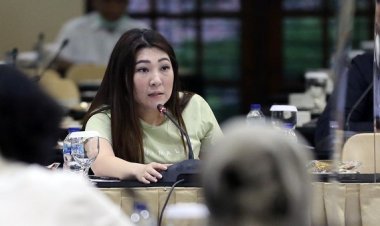 Tak Terima Dipecat dari DPRD DKI, Viani Bakal Gugat Rp1 Triliun, PSI: Sikap Itu Hak Sis Viani....