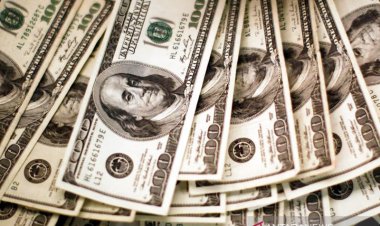 Dolar Melemah dari Tertinggi ketika Fokus Beralih ke Data Penggajian