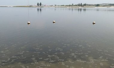 DUH! Kandungan Paracetamol Cemari Teluk Jakarta, Seberapa Bahaya?