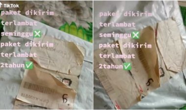Viral Perempuan Ini Terima Paket Terlambat 2 Tahun, Netizen: Positif Thinking Mungkin Dikirim dari Mars