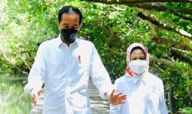 Jokowi Bicara Rehabilitasi Hutan Mangrove, PSI: Peran Indonesia dalam Memerangi Krisis Iklim Dunia....