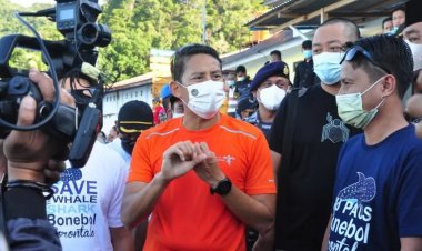 Hiu Ini Dinamai Salahudin Uno, Kalahkan Ukuran Ikan Susi Pudjiastuti