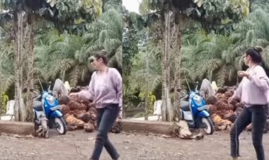 Viral! Demi Konten Wanita Joget dengan Kambing, Netizen: Ga Lucu Tau, kambingnya Nggak Ditolongin