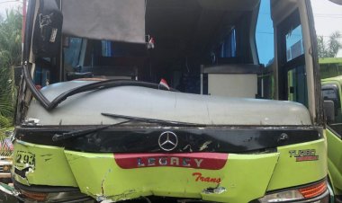 Truk dan Bus Adu Kambing di Pijoan, 2 Orang Luka- luka