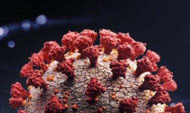 Ini 106 Wilayah Indonesia Bebas Kasus COVID-19, Jakarta Kemana?