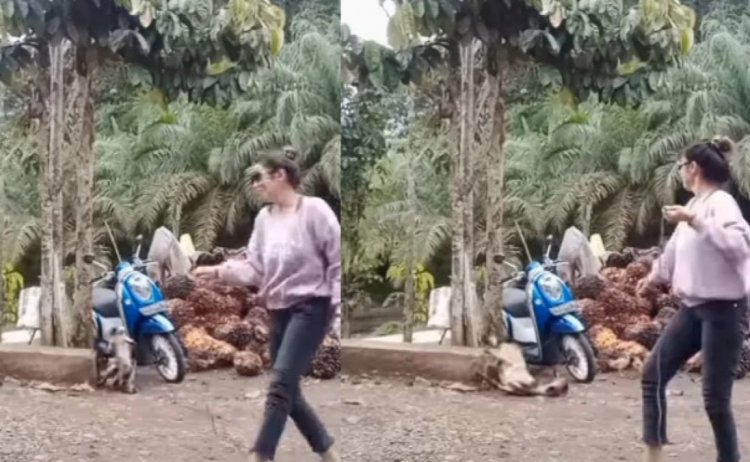 Viral! Demi Konten Wanita Joget dengan Kambing, Netizen: Ga Lucu Tau, kambingnya Nggak Ditolongin