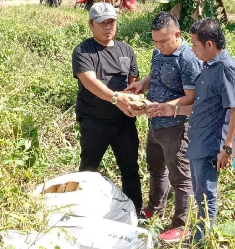 Warga Temukan Ganja 80 Kg di Pinggir Jalinsum, Polisi: Pelaku Masih Dicari