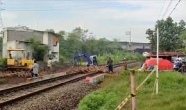 Duh! Puluhan Bebek Tergiling Kereta Api Viral di Media Sosial