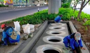 Video Heboh Sumur Resapan yang Disebut Rp 80 Juta Per Unit, Kadis SDA: Rp 80 Juta Bagaimana?