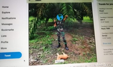 Viral Oknum Pria Berseragam Loreng Diduga Tembak Anjing, Animal Defender Ambil Sikap