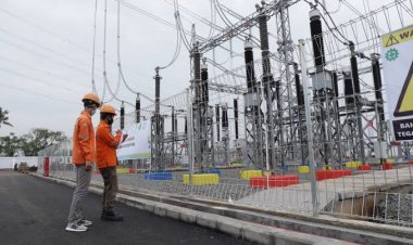 Ini Jajaran Direksi PLN Baru Usai Erick Thohir Copot Direktur Energi