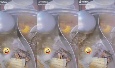Viral! Kepiting Ini Malah Santai Makan Jagung Saat Direbus