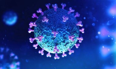 Bikin Heboh! Temuan Varian Lokal Corona Jatim, Eks Petinggi WHO: Kalau Memang Ada, Maka Dapat Dilakukan 3 Hal