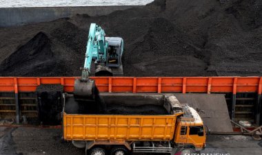Usai Dilarang, Kini Pemerintah Izinkan Lagi 139 Perusahaan Tambang Ekspor Batu Bara