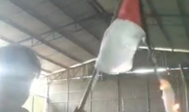 Heboh! Perempuan Bakar Bendera Merah Putih, Ternyata....