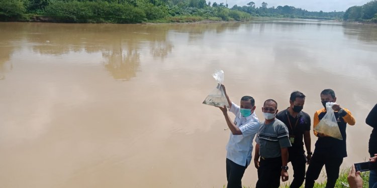 Wabup Apri Sebut 4 Sungai di Bungo Berubah Warnanya Kuning Semua: Akibat Penambangan....