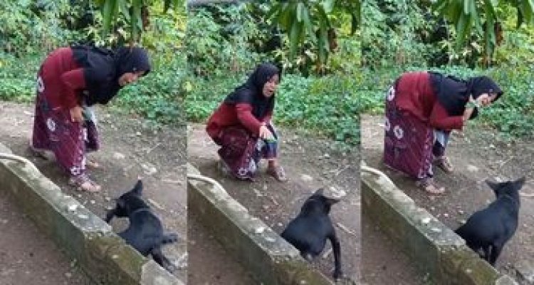 Viral! Gadis Berhijab Mau Tolong Anjing Terlilit Tali tapi Ketakutan Dijilat, Netizen: Antara Mau Ketawa Sama Greget Bingung....