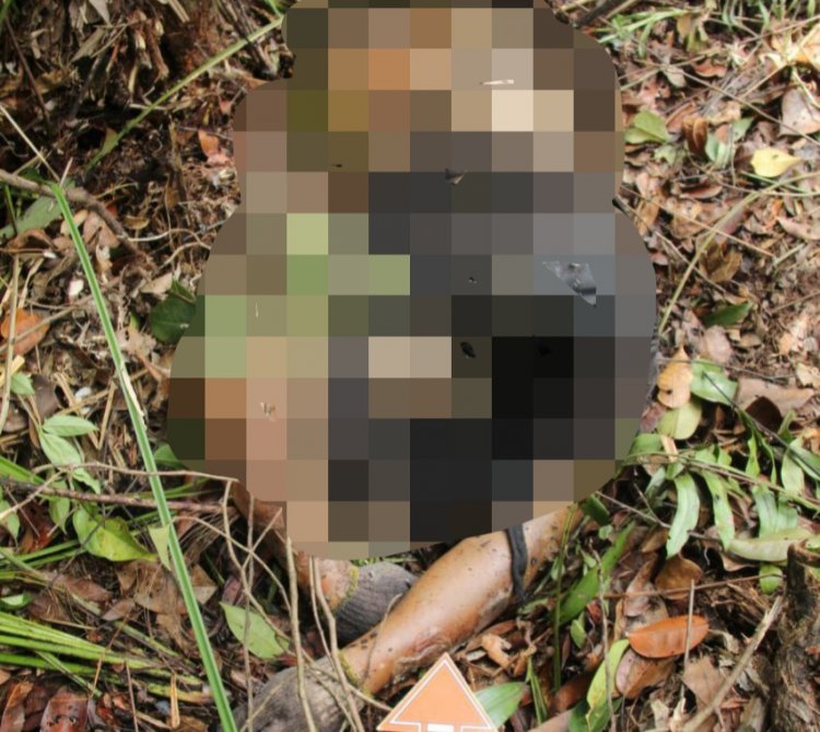 Ngeri!! Harimau Mengganas di Kumpeh Ilir, 1 Orang Tewas Diterkam