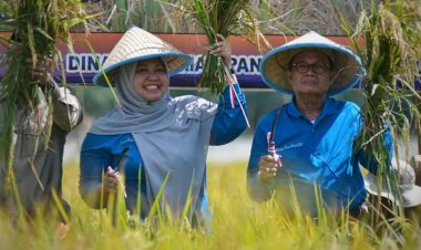 Pemkab Muaro Jambi Beli Alat Mesin Penggiling Padi untuk Tiga Kecamatan