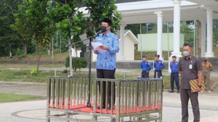 Wabup BBS Pimpin Upacara Peringatan HKN 2022