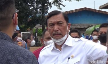 Hebat! Luhut Bongkar Praktik Minyak Goreng Kemasan Premium Abal-abal