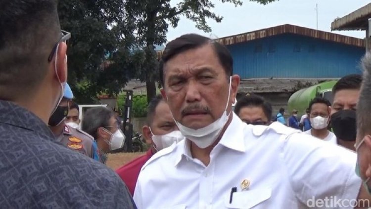 Hebat! Luhut Bongkar Praktik Minyak Goreng Kemasan Premium Abal-abal