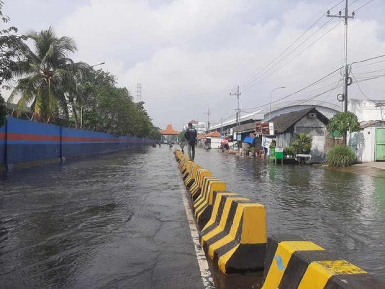 Lapor! Banjir Rob Menerjang Kawasan Pesisir Surabaya Utara