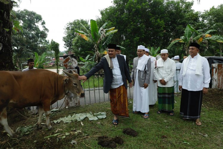 Bupati Bungo Mashuri Sholat Idul Adha 1443 H di Masjid Agung Al-Mubarok, Begini Pesannya