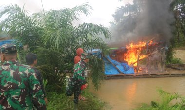Dandim 0416 Bute Razia PETI di Sekitar Bandara Muara Bungo, Ini Yang Didapat