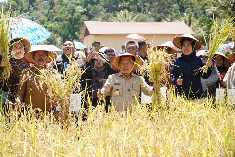 Gubernur Al Haris: Pemprov dan Pemkab Bersinergi Benahi Sistem Pertanian Agar Hasil Meningkat