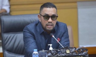 DPP NasDem Nonaktifkan Ahmad Sahroni dan Nafa Urbach dari Keanggotaan DPR RI