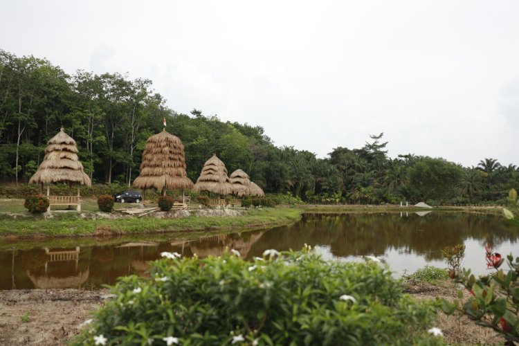 DANA DESA PENYALURAN DAN PENGGUNAANNYA