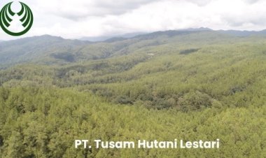 PT Tusam Hutani Lestari dan Jejak Lingkar Prabowo Subianto di Konsesi Hutan Aceh, Serta Persoalan Banjir Bandang