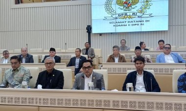 Komisi II DPR RI Tetapkan 9 Anggota Ombudsman RI Periode 2026-2031, Hery Susanto Jadi Ketua, Ada Nuzran Joher Tokoh Jambi