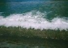 Viral Air Sungai Menguning di Lubuk Beringin, Rio: Diduga Akibat Longsor di Hulu, Wisata Luber Tetap Aman