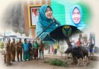 Hj. Hesnidar Haris Serahkan Hewan Kurban untuk Masyarakat Batang Hari dan Muaro Jambi